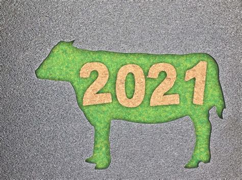 辛丑年2021|2021年は丑年！干支の「辛丑」の特徴や意味につい。